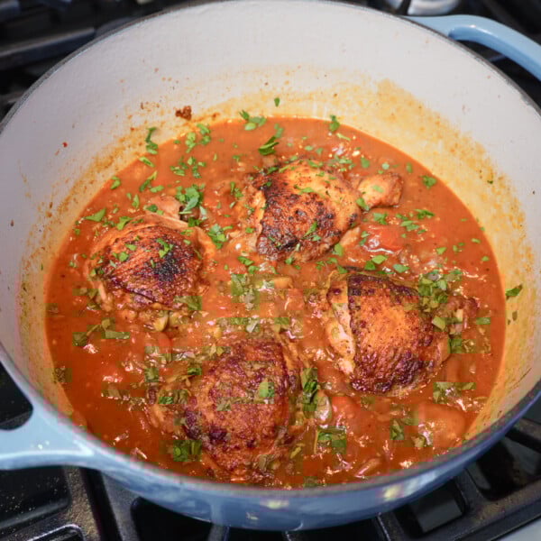 Braised chicken in mushroom and tomato sauce in a dutch oven.