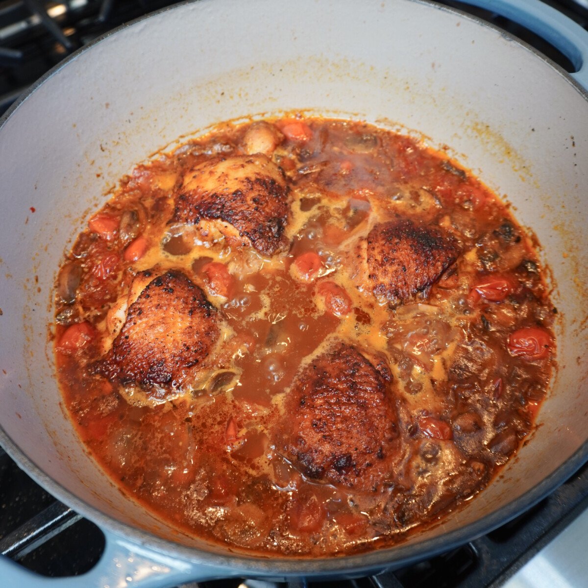 braised chicken in mushroom and tomato sauce.