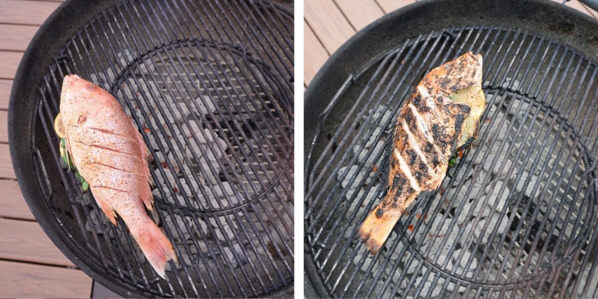grilled red snapper on the grill.  Left side raw, right side done.