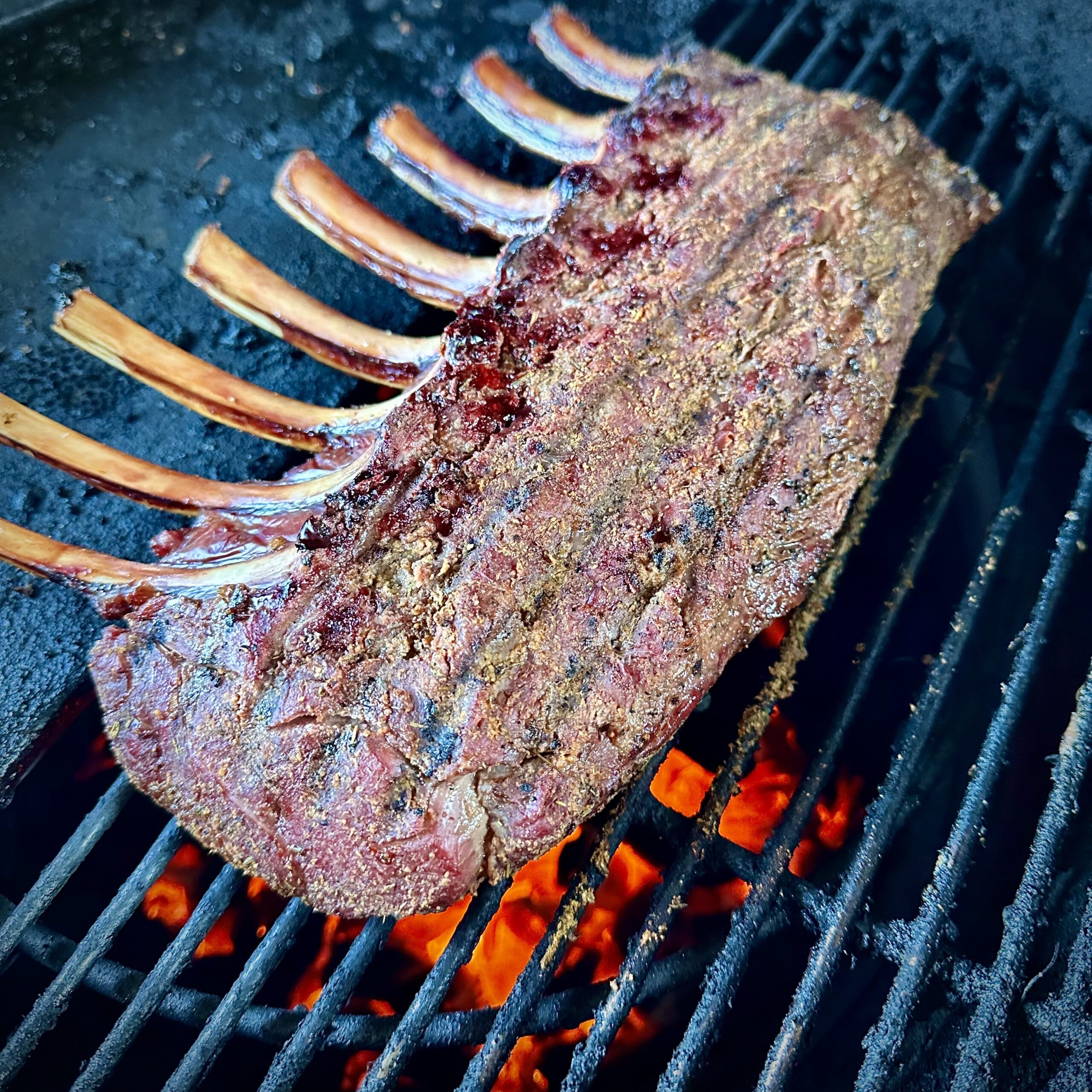 Rack of venison on the grill