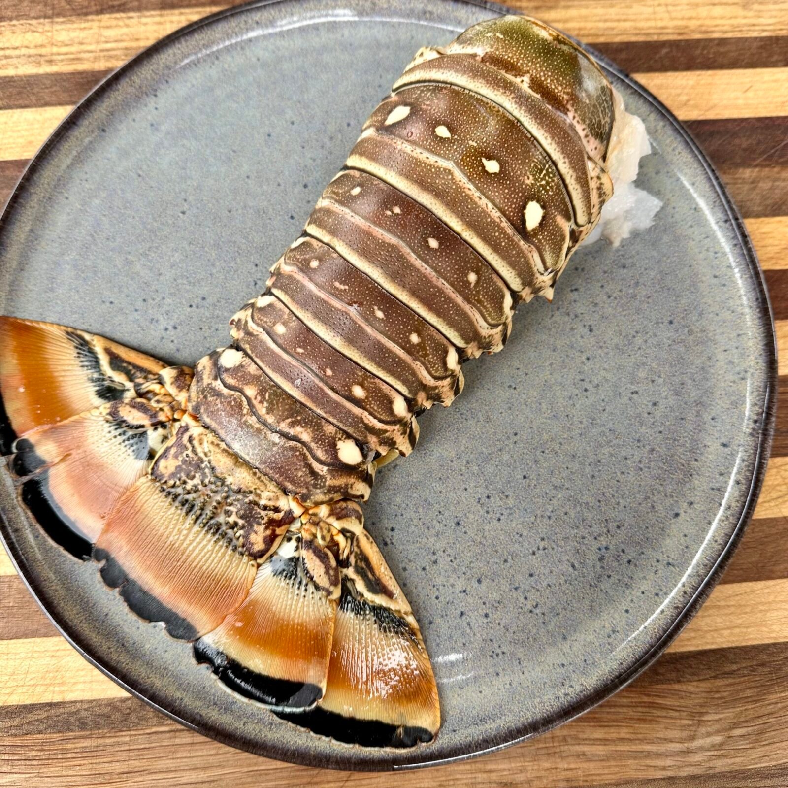 Lobster Tail