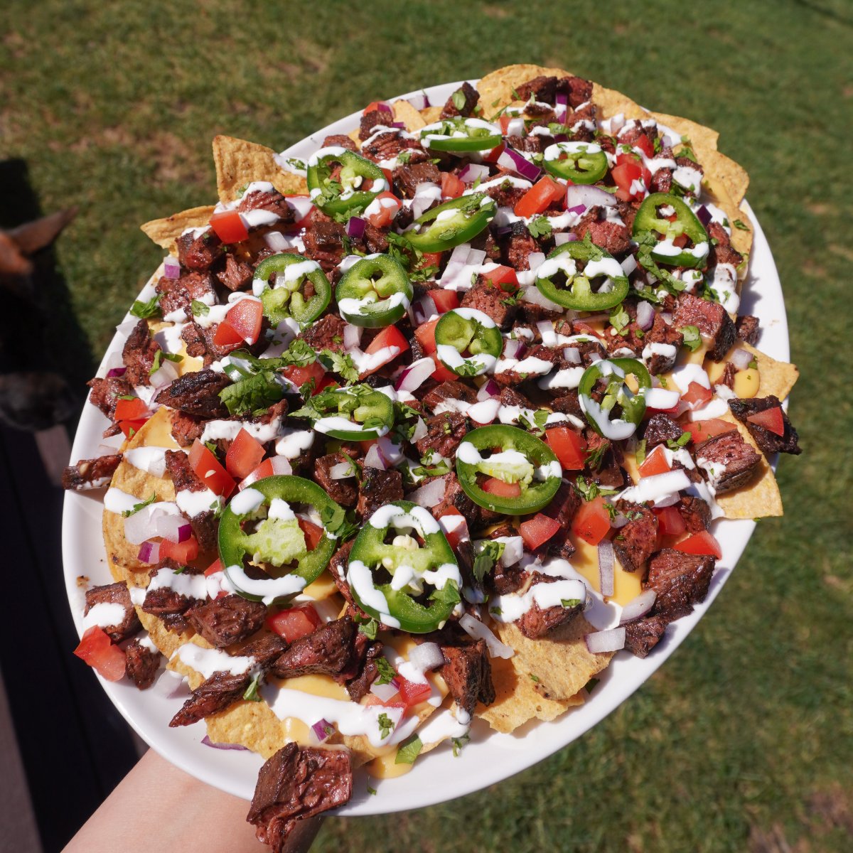 Top view of cheesy steak nachos over a grassy background.
