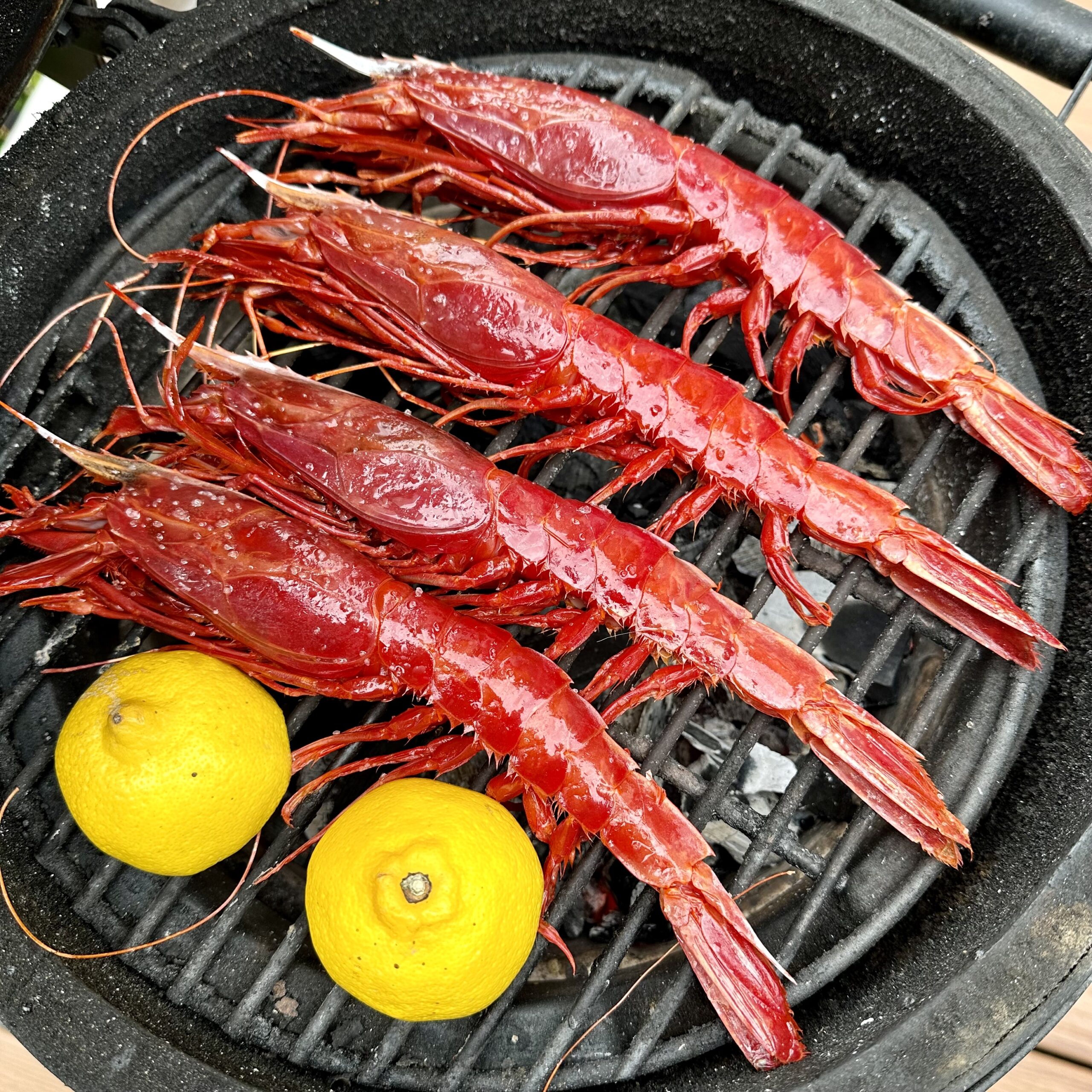 Carabinero shrimp on grill