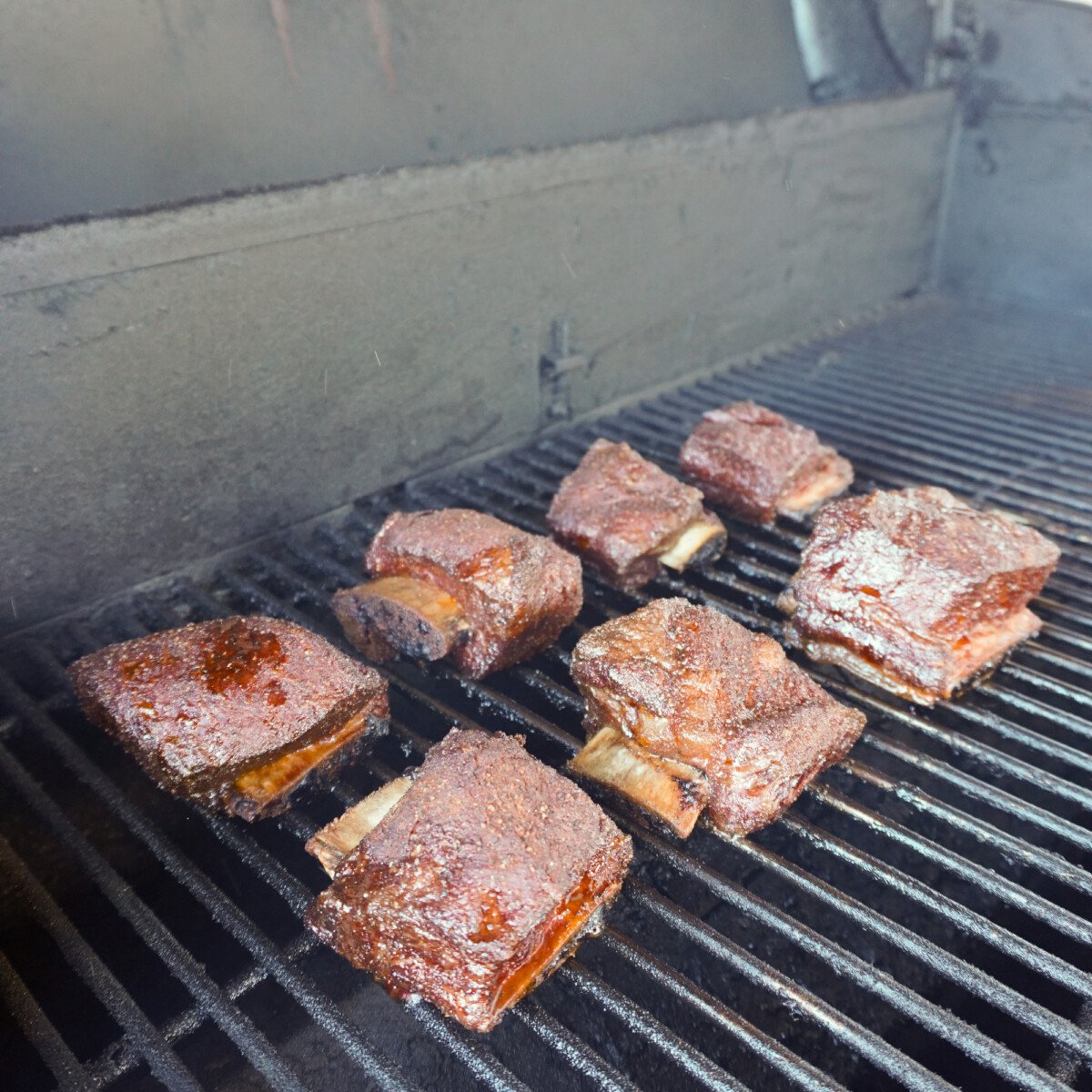 beef short ribs on the smoker. 