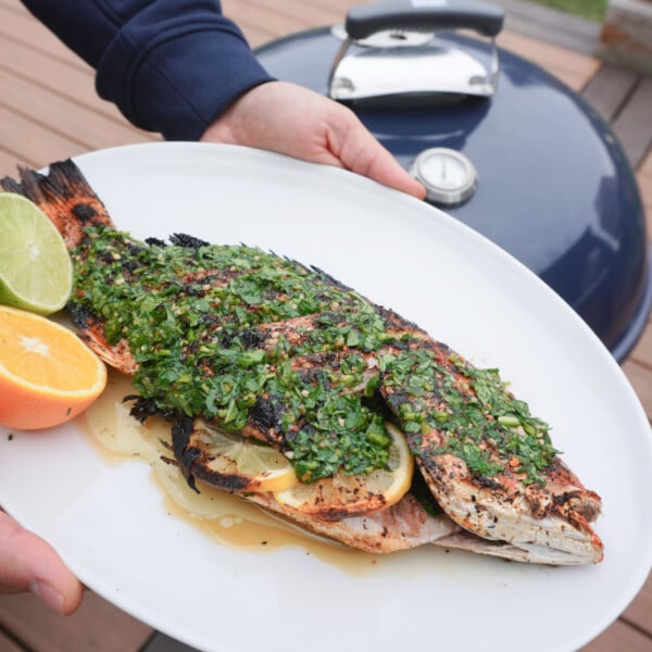 grilled red snapper in a homemade citrus chimichurri.